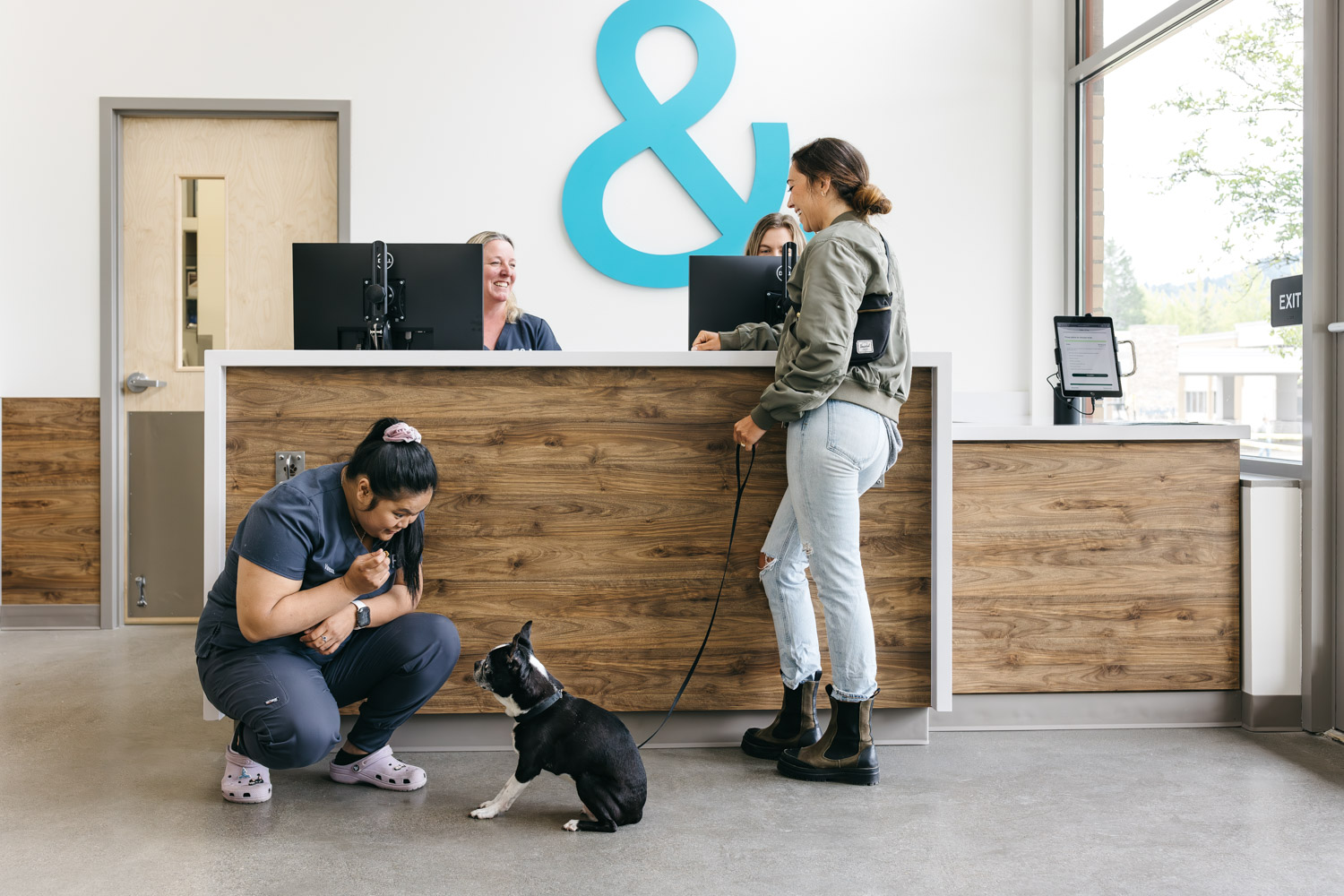 felix & fido Seattle veterinarian clinic photography