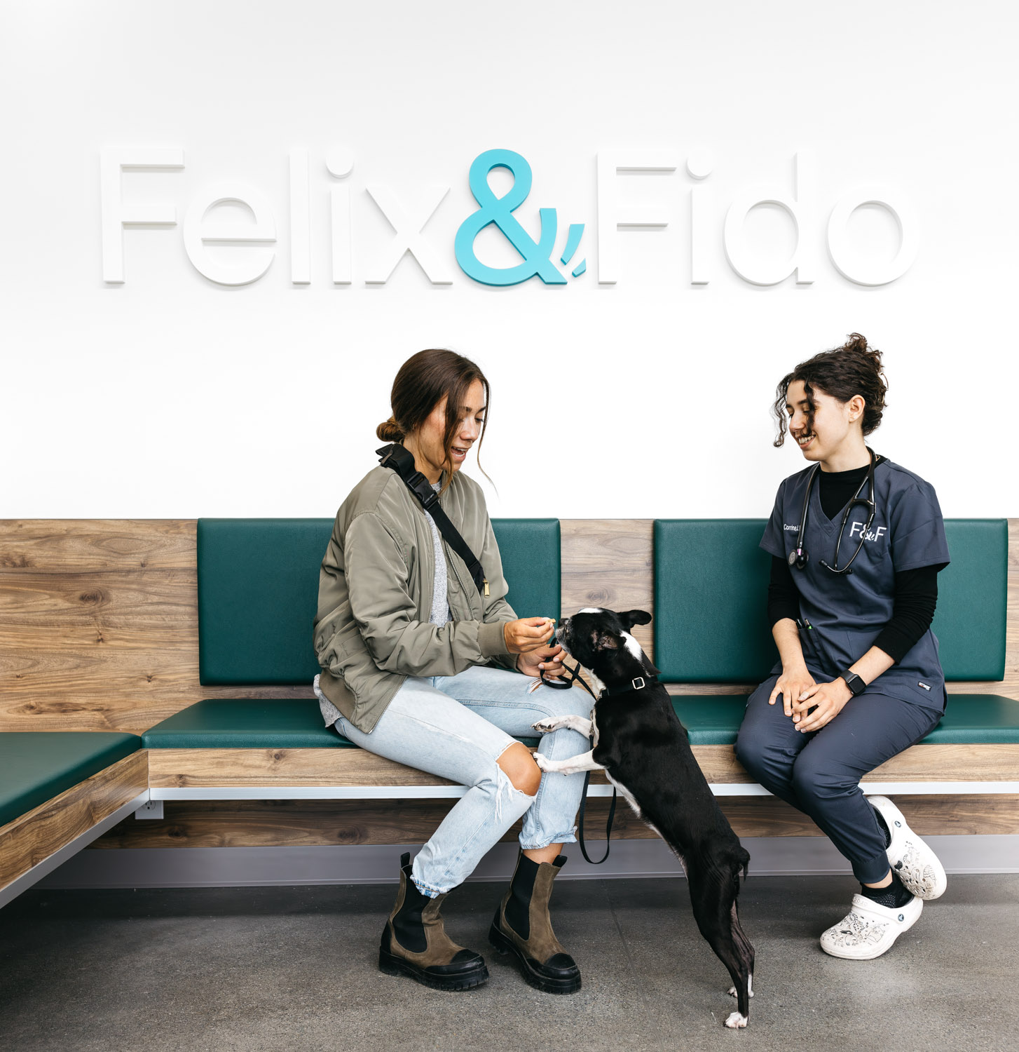 felix & fido Seattle veterinarian clinic photography