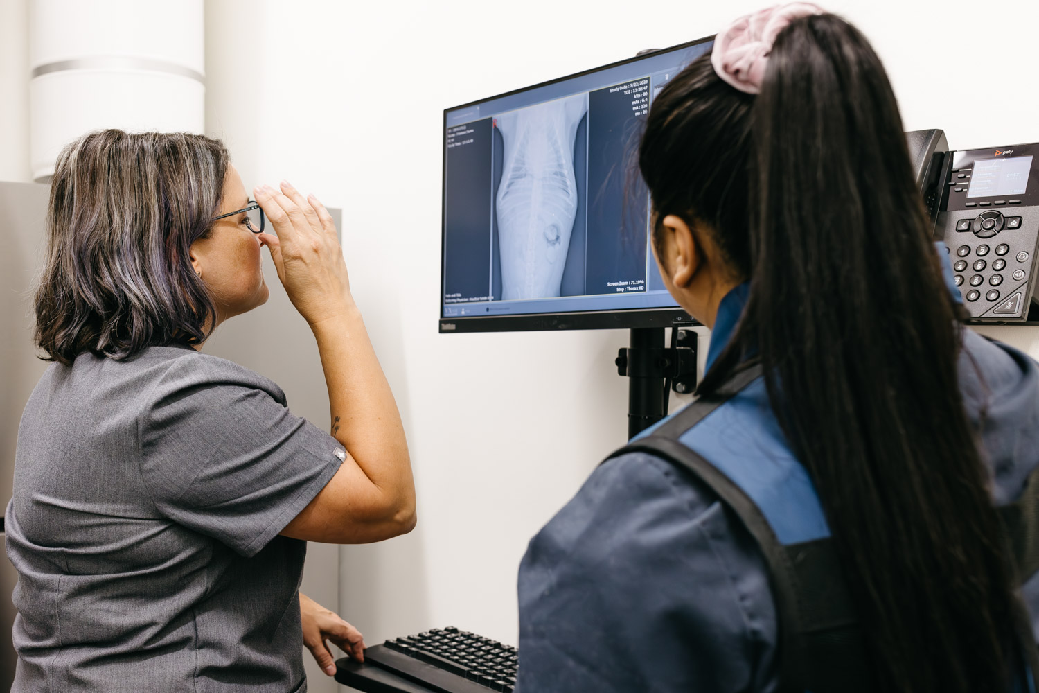 felix & fido Seattle veterinarian clinic photography