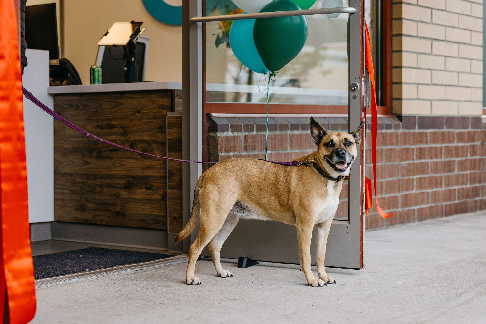 seattle corporate event photographer