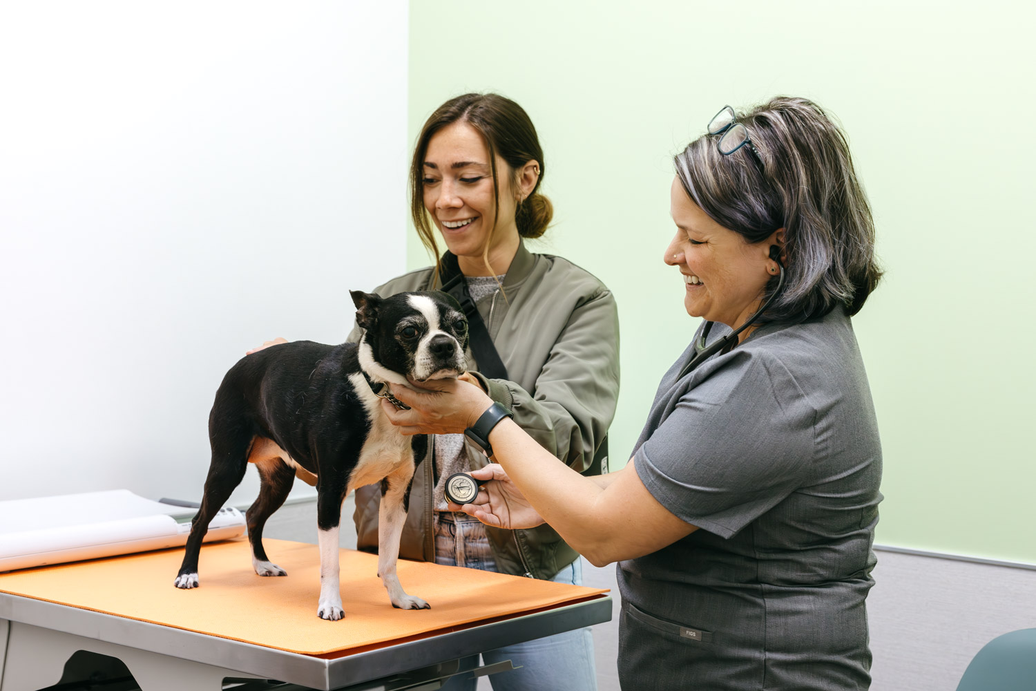 felix & fido Seattle veterinarian clinic photography