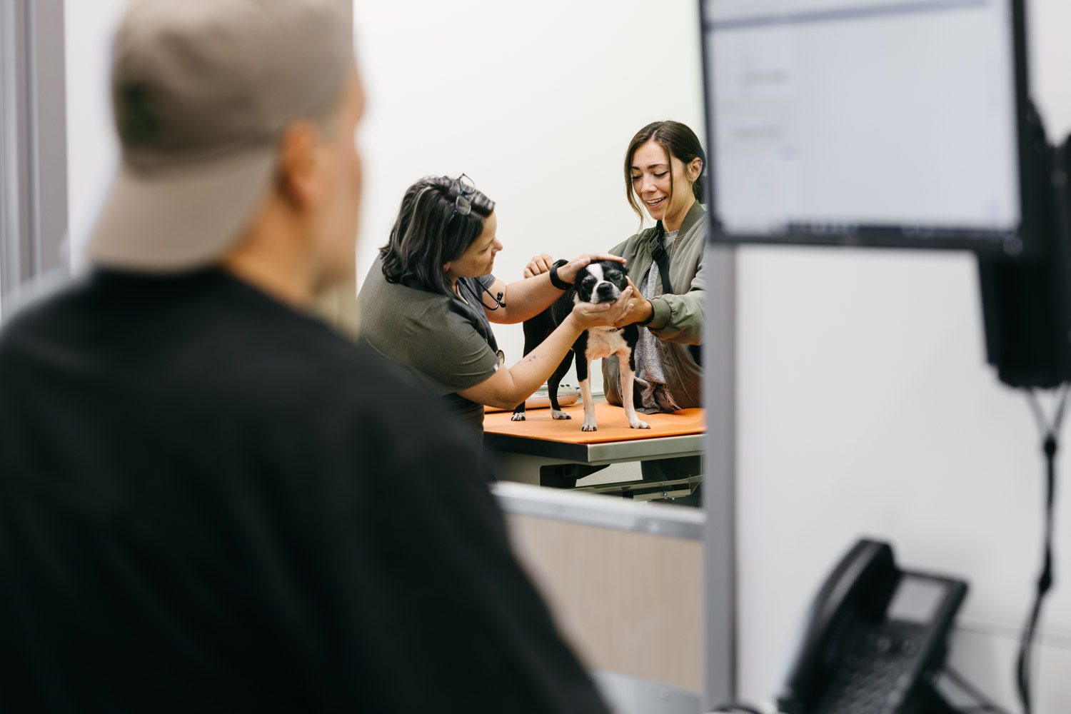felix & fido Seattle veterinarian clinic photography